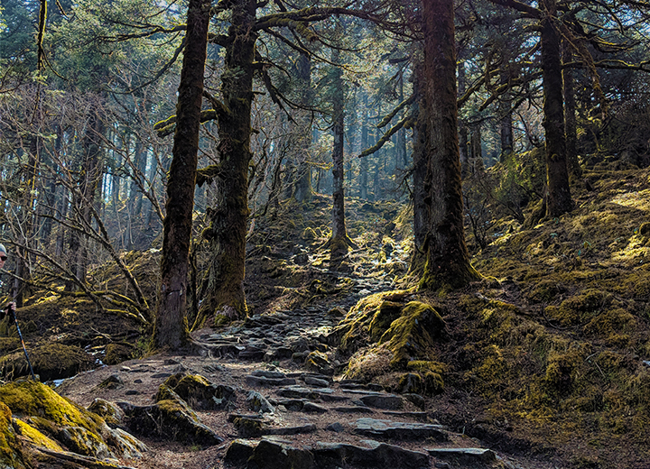 Gosaikunda trek, Nepal