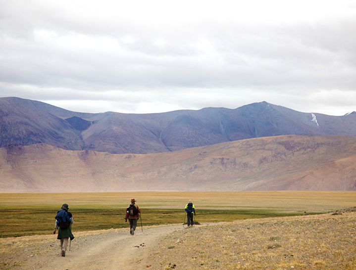 Tsokar to Tsomoriri trek. Walkin the Changthang plateau, Ladakh