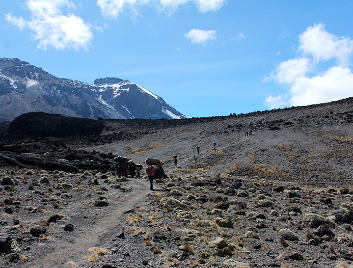 Porters carrying camping equipment, Mt. Kilimanjaro-Machame Route