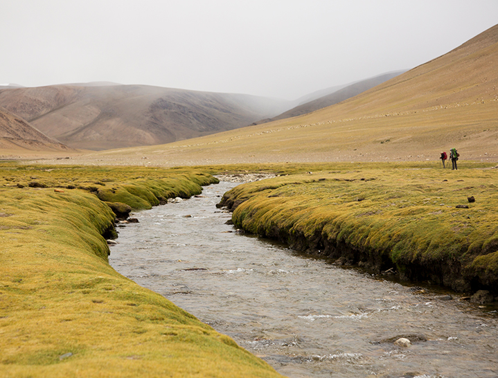 Stream on the Tsokar to Tsomoriri trek, Ladakh