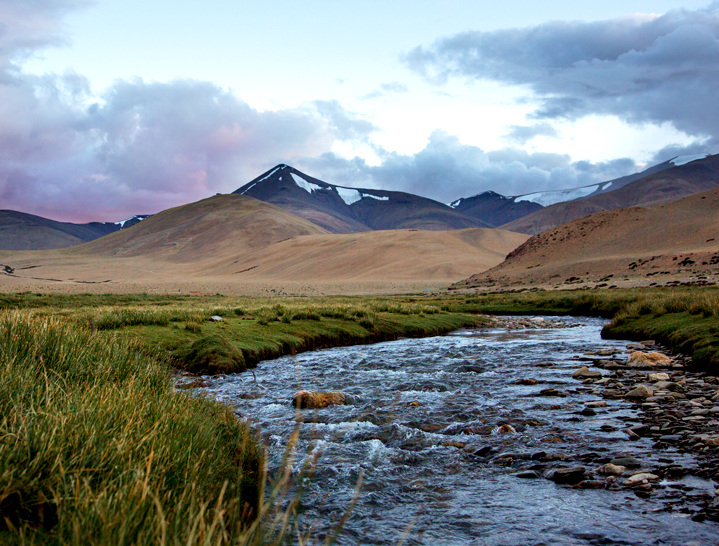 Stream on the Rumtse to Tsomoriri trek