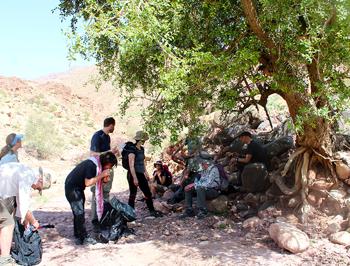 Lunch under an acacia tree trekking from Dana to Petra, Jordan