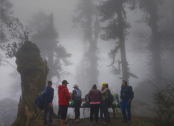 Goecha La trek, Sikkim