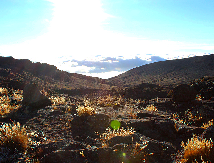 Sunset on Mt. Kilimanjaro climb