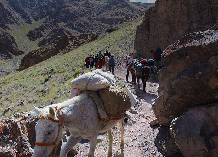 Stok Kangri climb, Ladakh