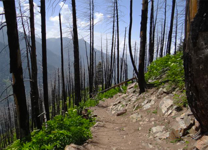 Great Lakes trek, Kashmir,India