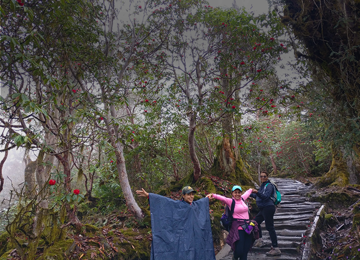 Goecha La trek, Sikkim